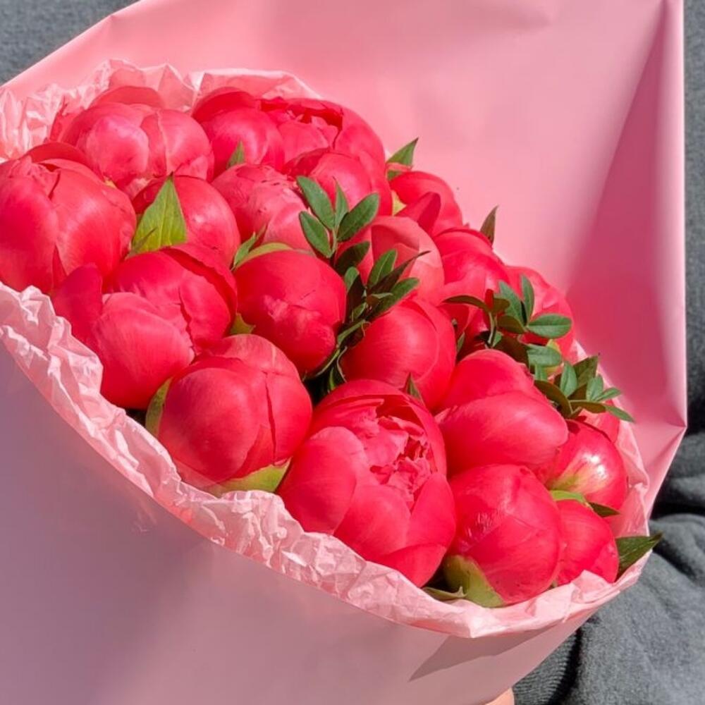 Пионы Коралл шарм в дизайнерской упаковке Пионы Коралл шарм в дизайнерской упаковке