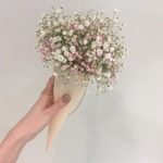 Рожок с гипсофилой