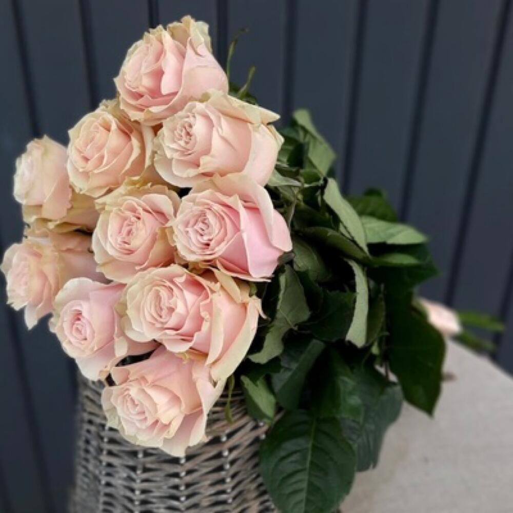 Букет из 11 пионовидных роз Пинк Мондиаль