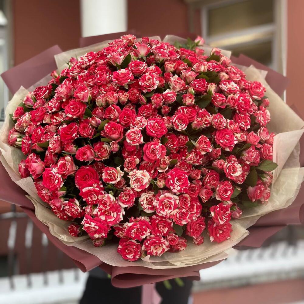 51 ветка кустовой розы