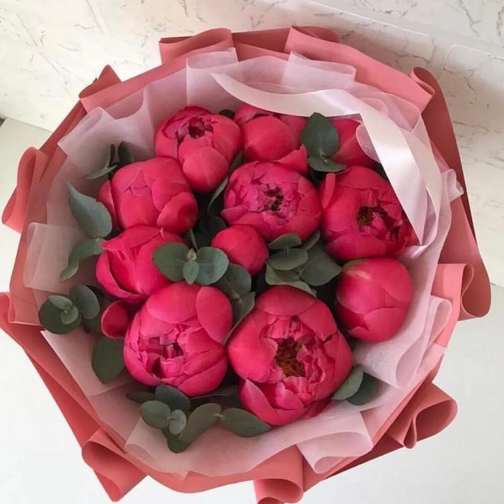 11 красных пион