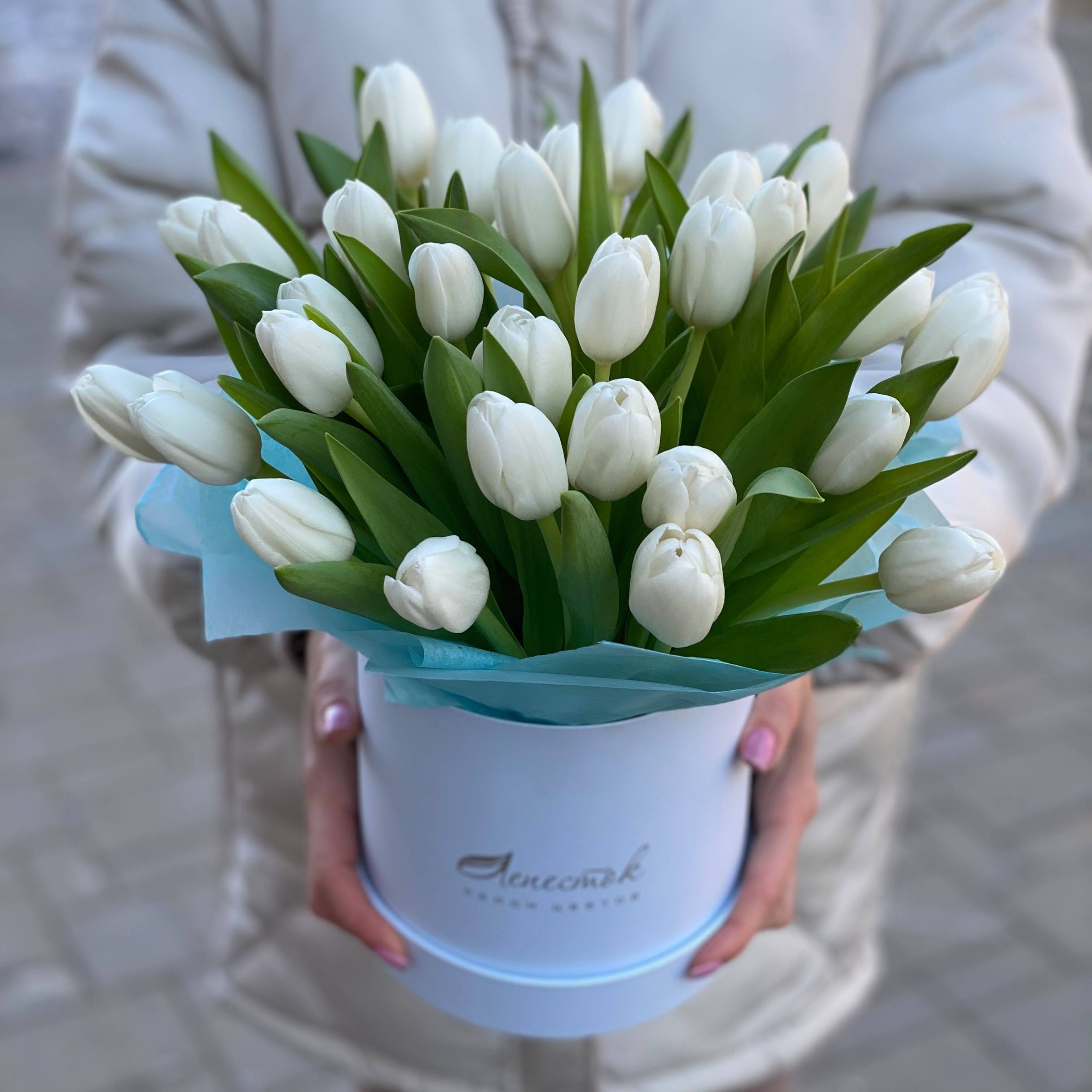 b3e87b6e-c9a6-4e74-8037-f4e2695b0425